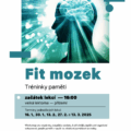 Fit mozek – tréninky paměti