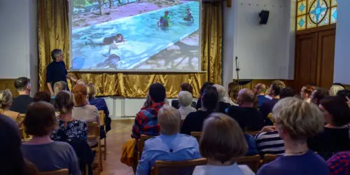 Kulturní a společenské akce