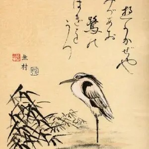 WORKSHOP | Haiku s Kateřinou Hládkovou